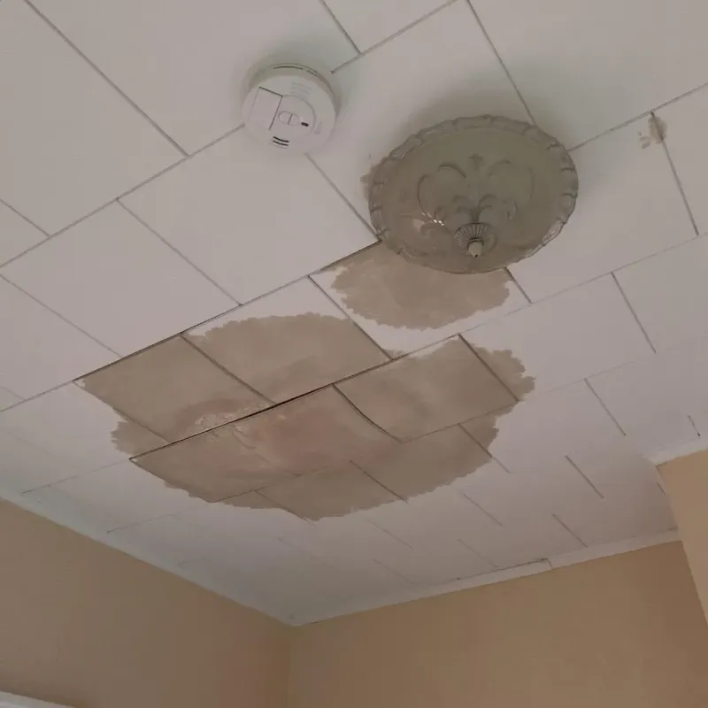 Ceiling Water Damage Repair in Manila, AR
